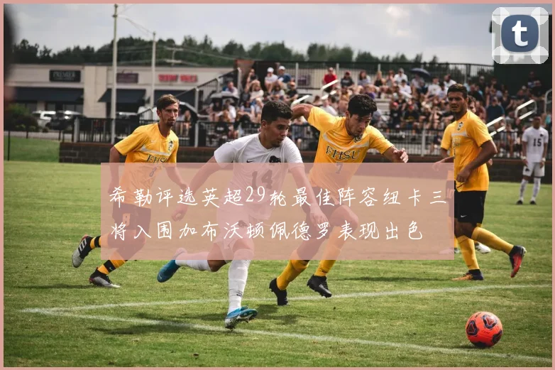 希勒评选英超29轮最佳阵容纽卡三将入围加布沃顿佩德罗表现出色