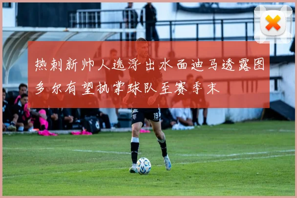 热刺新帅人选浮出水面迪马透露图多尔有望执掌球队至赛季末